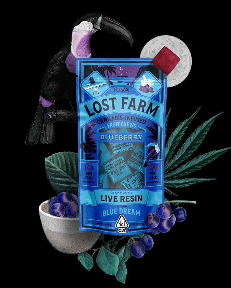 BLUEBERRY — Fruit Chews B5