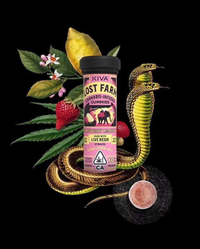 Strawberry — Lemonade A5