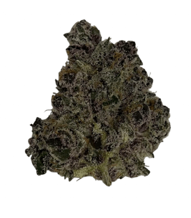 Tropidelic Flower