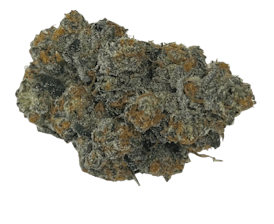 Jolly Rodger Flower