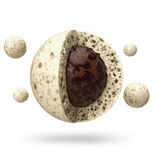 Chocolate Fusions - Cookies & Cream