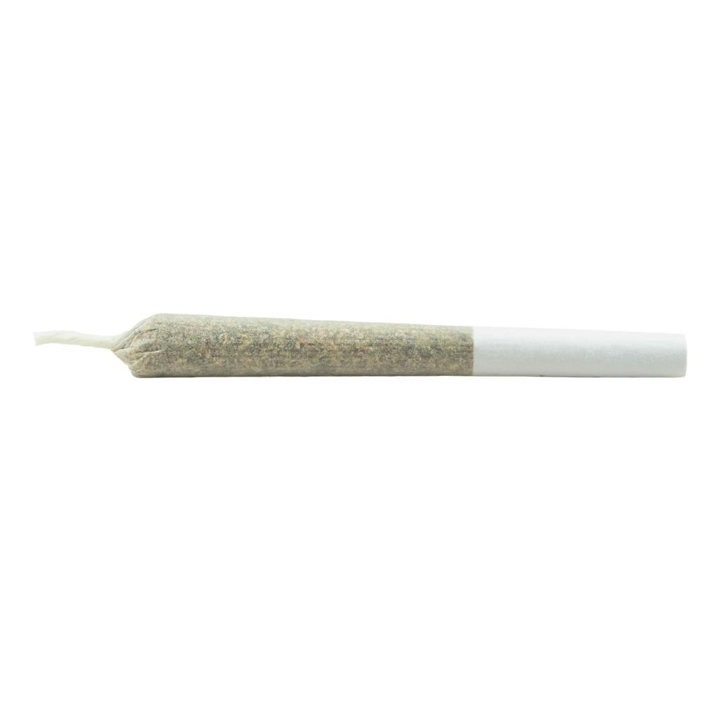 DAILY SPECIAL - Nightmare Fuel Js Pre-Roll 7x0.5g
