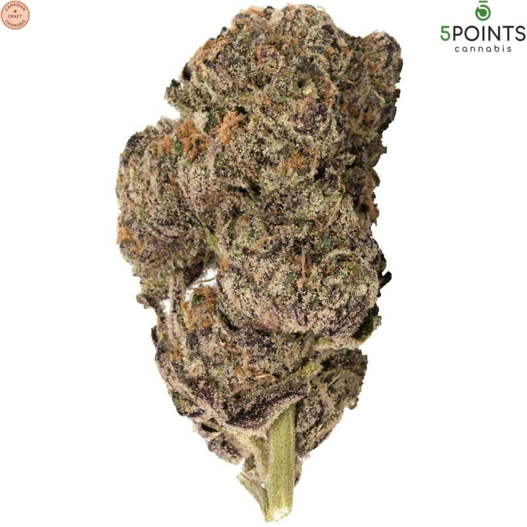 5 Points Cannabis | Blueberry Yum Yum Craft Flower | 3.5g