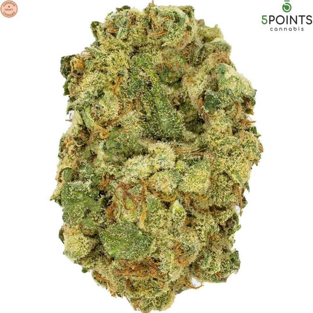 5 Points Cannabis | Zsweet Craft Flower | 3.5g