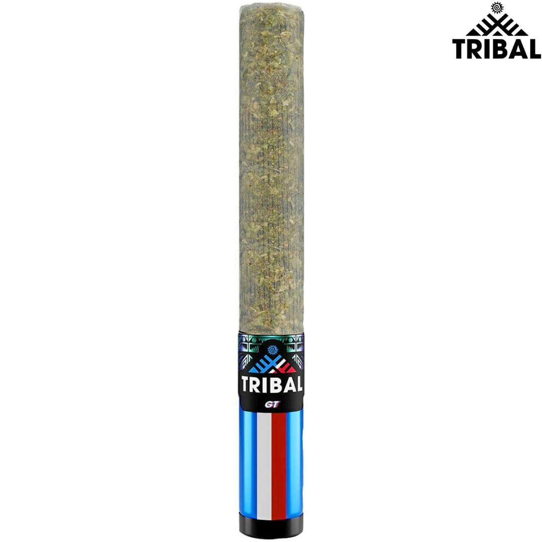 Tribal | GT Ceramic Tip Pre-Roll | 1x1g *