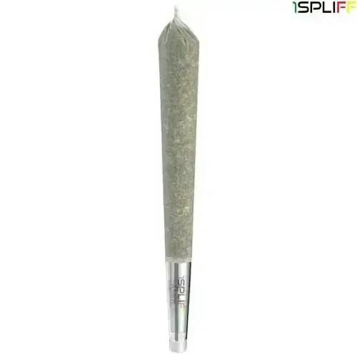 1Spliff Reserve | Candy Rain Premium Glass Tip Pre-Roll | 1x1g *
