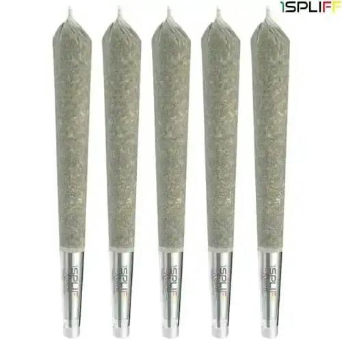 1Spliff Reserve | Quantum Kush Premium Glass Tip Pre-Rolls | 5x0.5g *