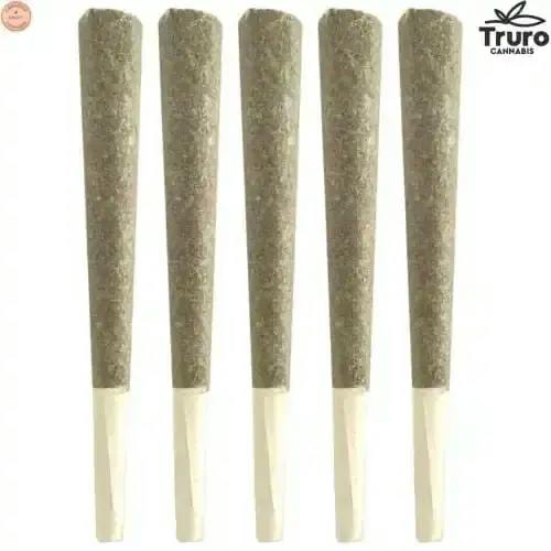 Truro | Truffle Treats Pre-Rolls | 5x0.5g