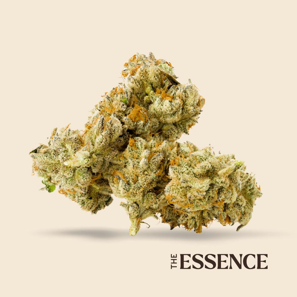 (the) Essence Georgia Pie x Gastro Pop 7g Flower