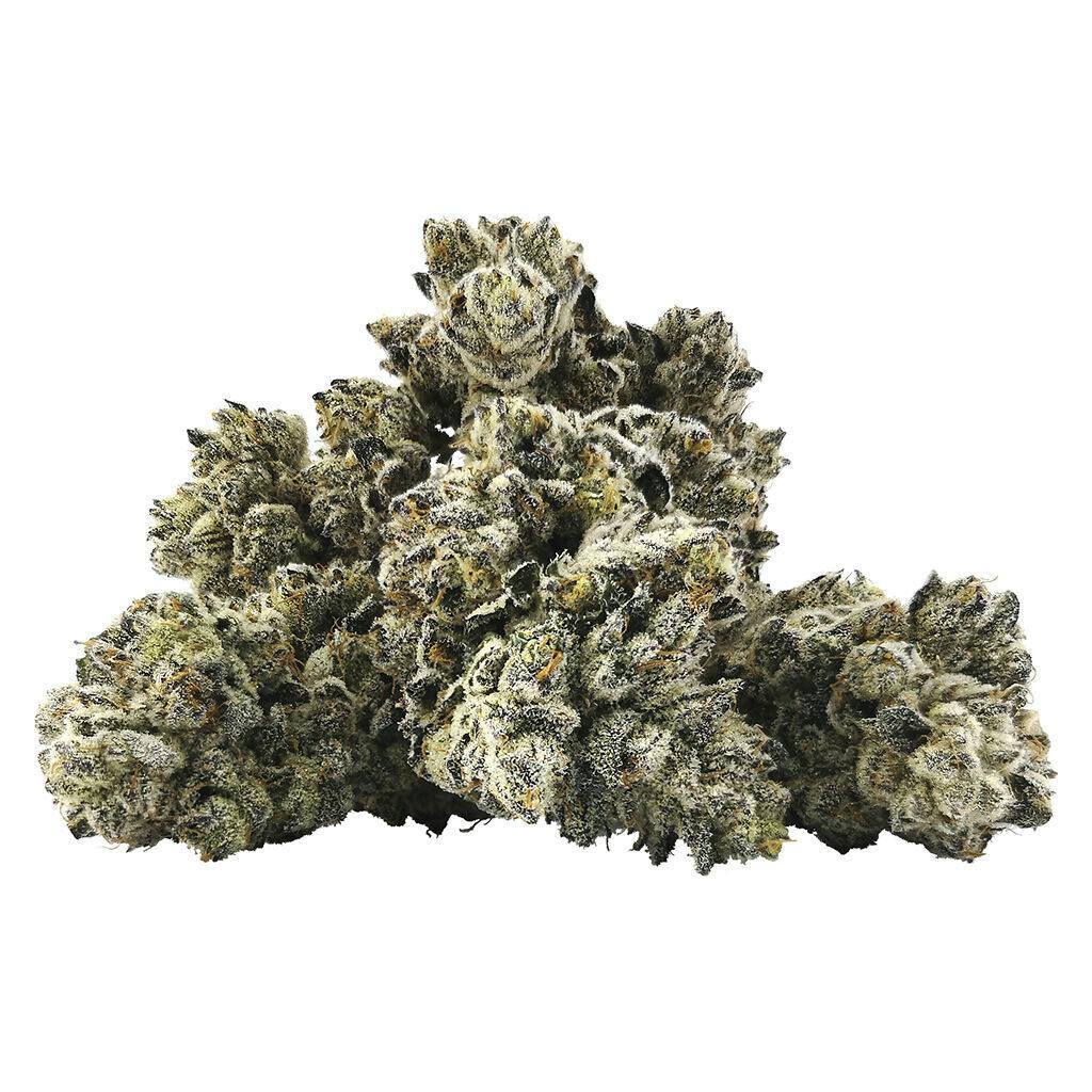 BC Black - Blueberry Frost - 14g