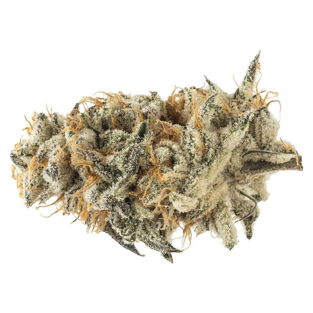 Melt - Megawatt Mango - 3.5g