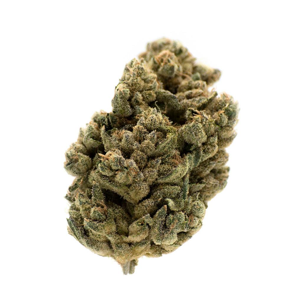 MTL Cannabis - Jungl' Cake - 14g