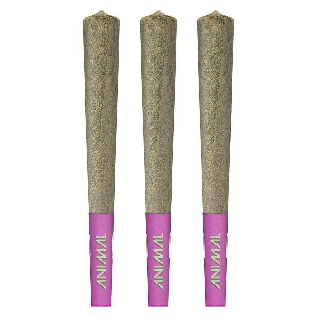 Animal - High Potency Infused Pre-Roll 50+ - 3x0.5g