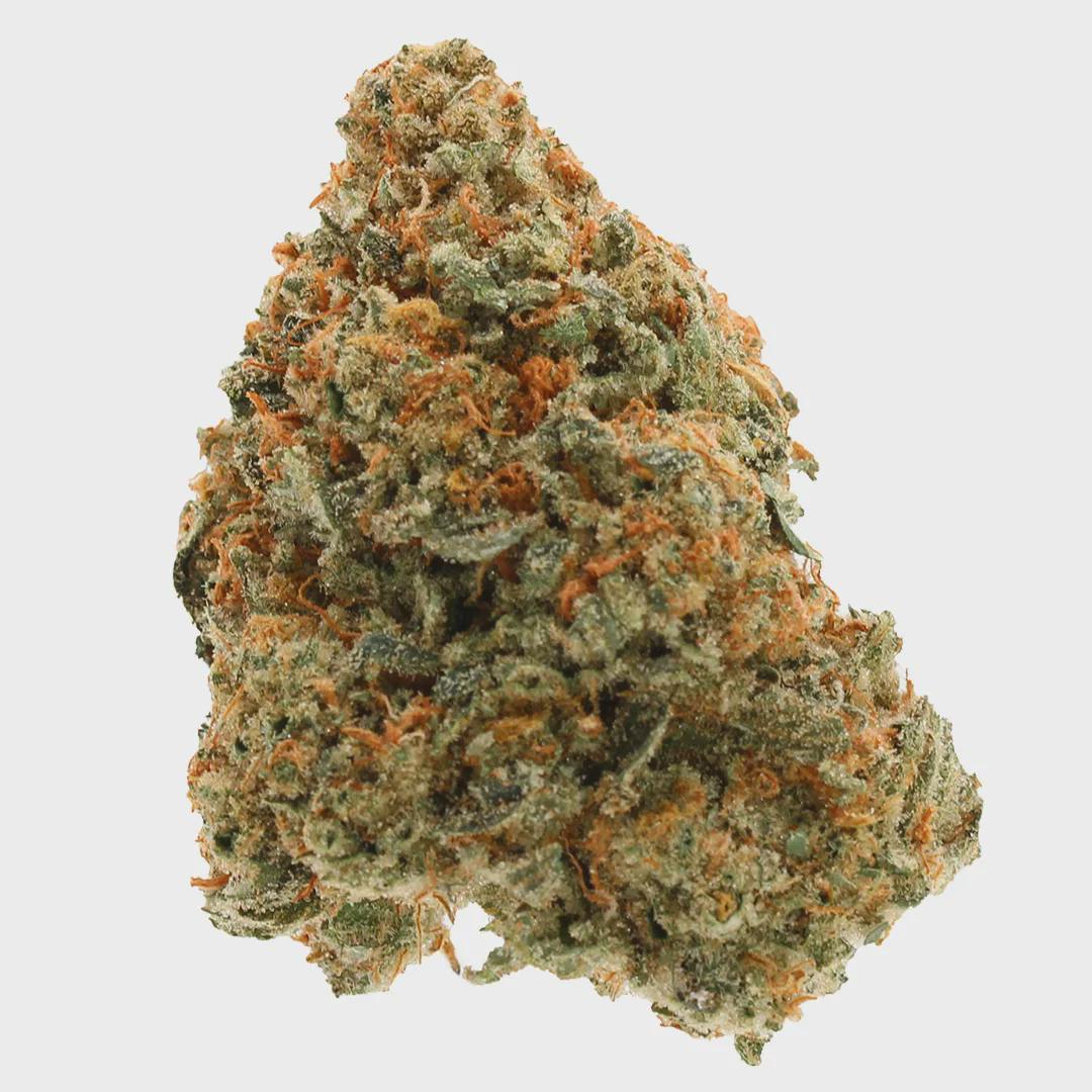 Flower Platinum Golden Lemons Billo