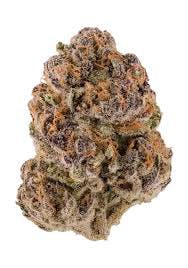 Bubble Bitty 3pk