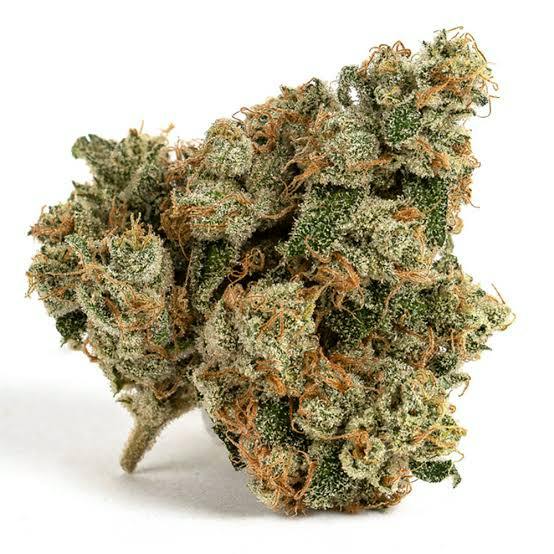 Flower Platinum Midori Billo