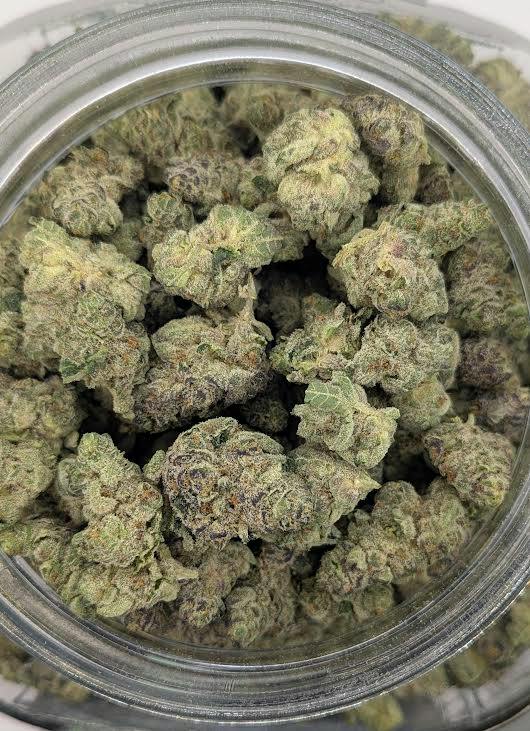 Medical Flower - Pablo's Revenge (I)*