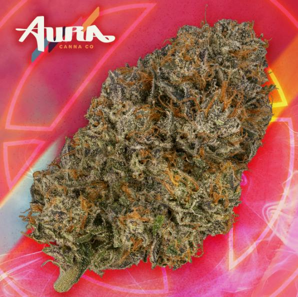 Mass Gen Sour D