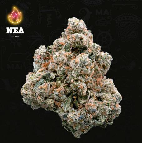 Sherbert Honey at Medicine Man Premium Cannabis Dispensary