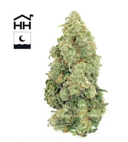 Harbor House - Papaya Cake - H