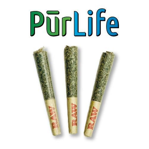 Zack's Cake | PreRoll 3Pk
