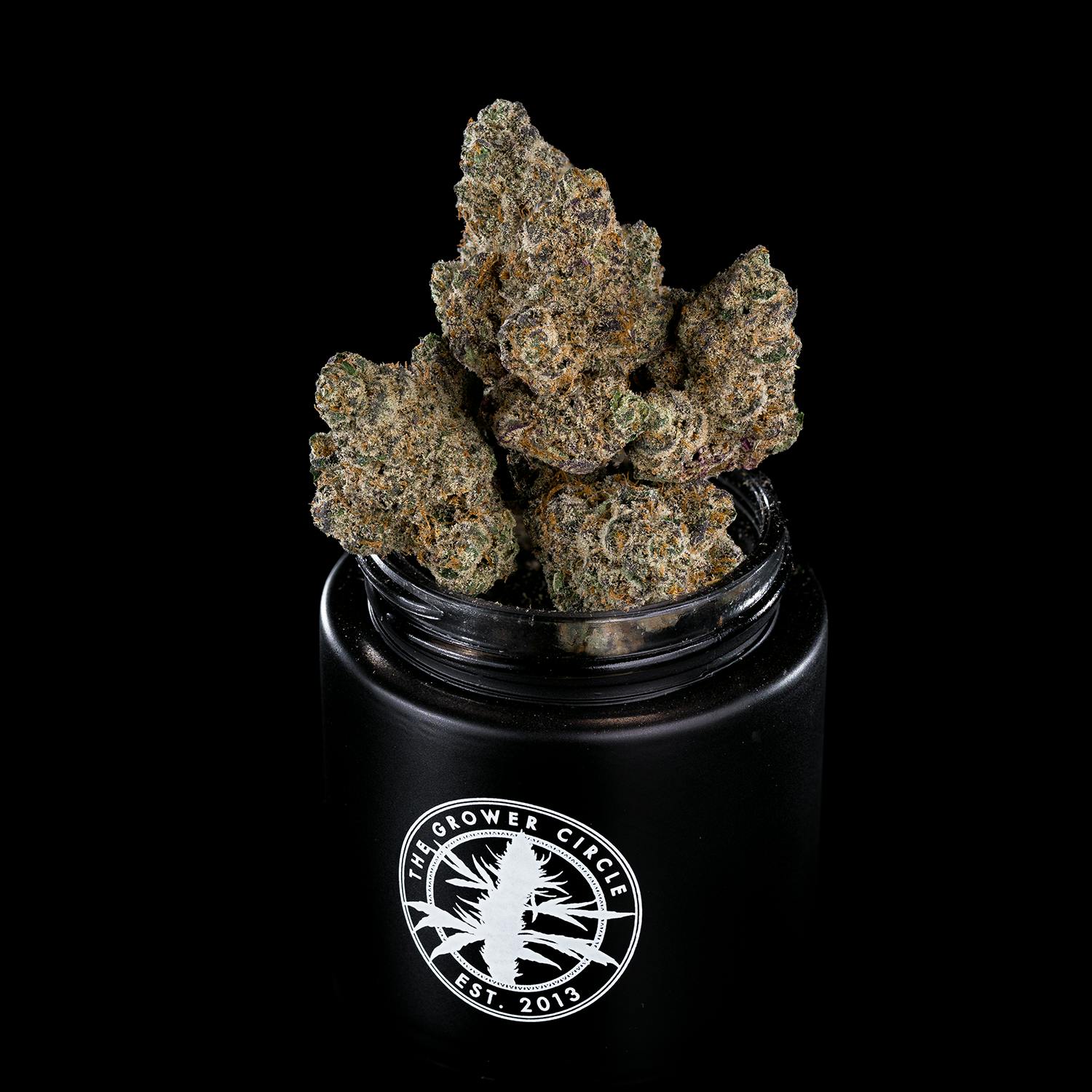 Waffle Cone | The Grower Circle