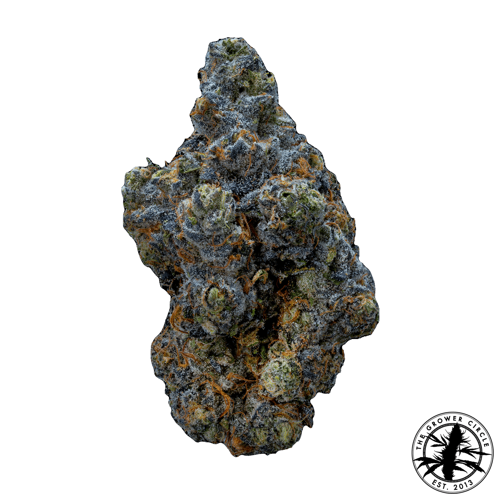Gelato | The Grower Circle