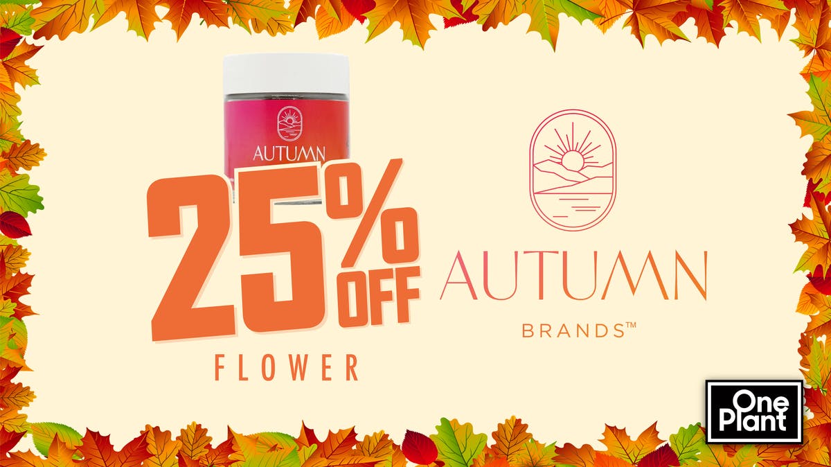 25 OFF Autumn Flower at One Plant Delivery Antioch Weedmaps
