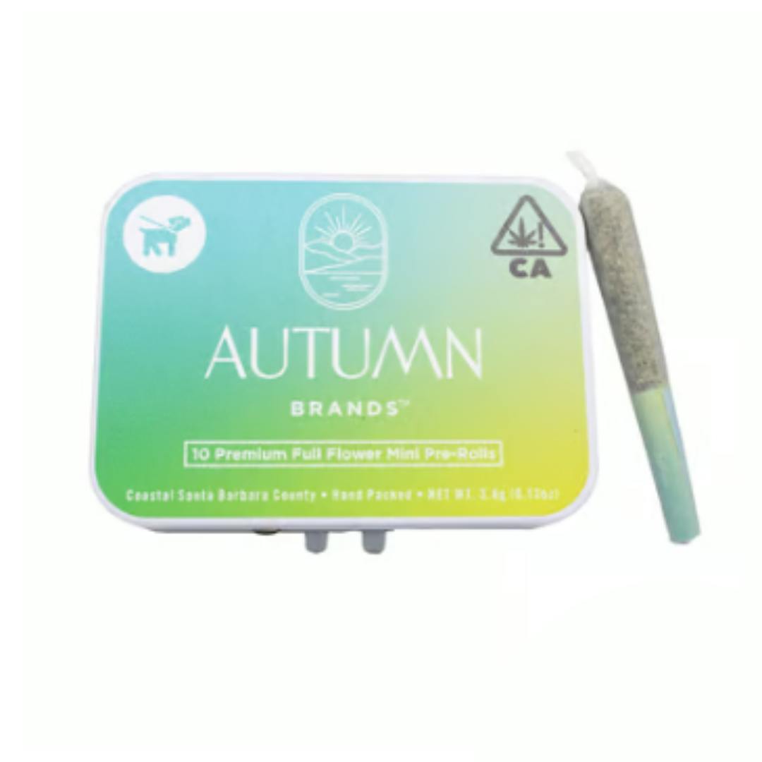 Autumn Brands - 10pk Mini Prerolls - CBD Blue Dream
