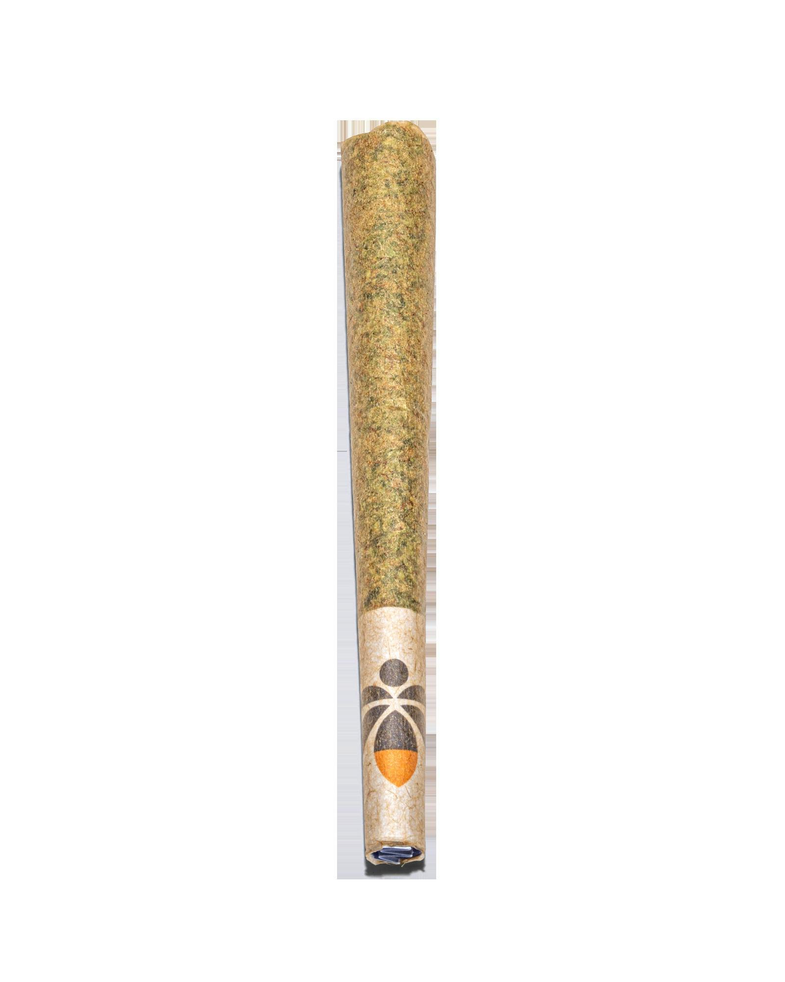 DOPPELGANGER PREROLL 1G