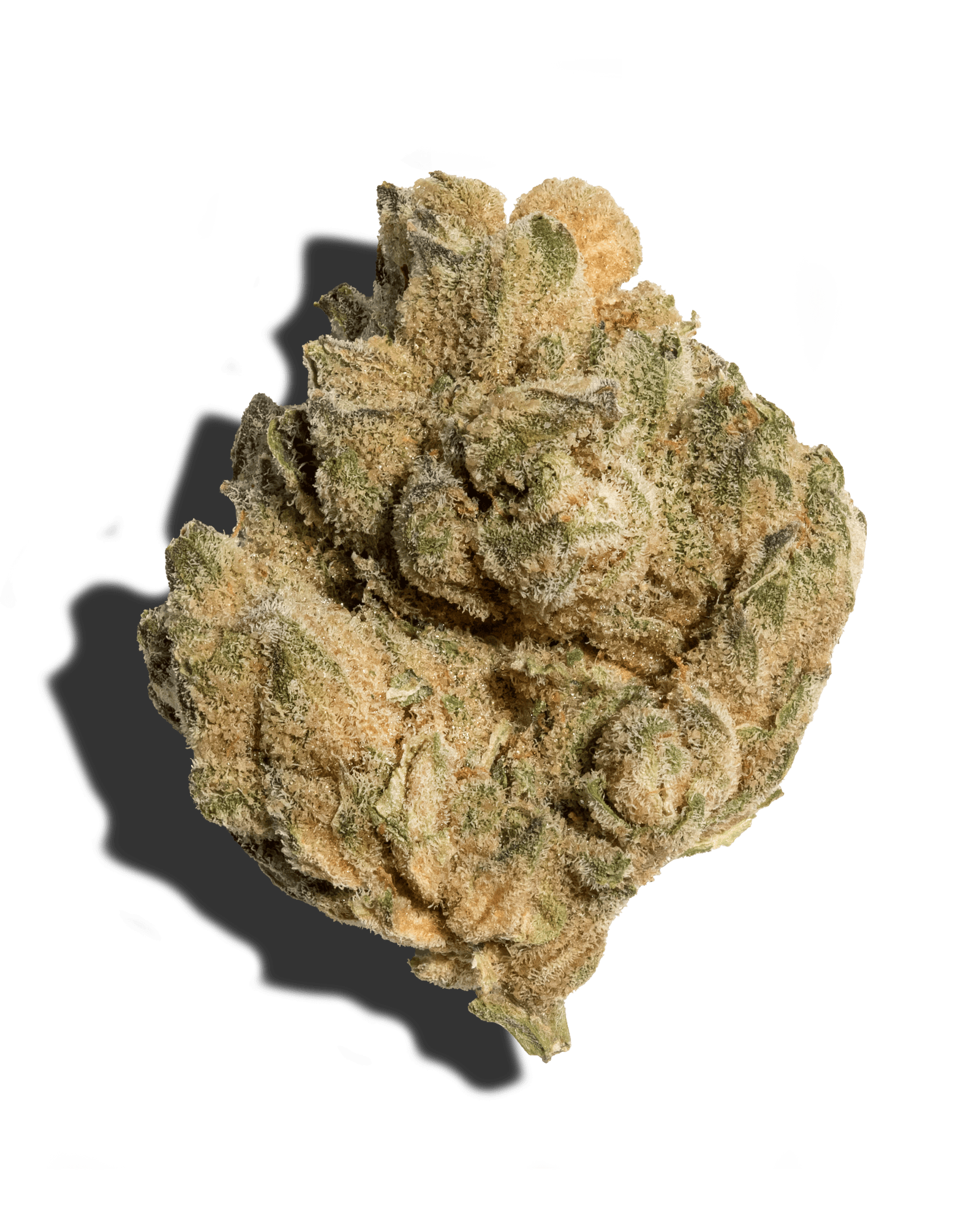 CAKE FRITTER 3.5G