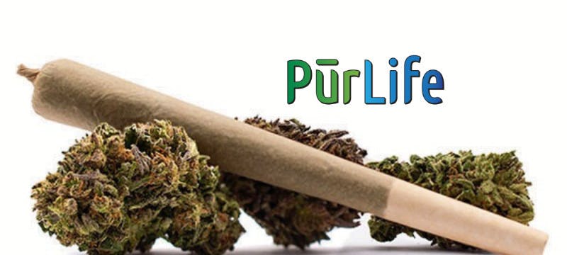 Sloppy Joe | Value PreRoll at PurLife Dispensary Roswell