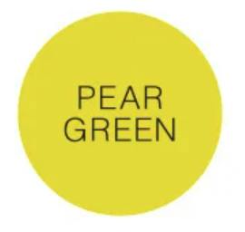 Ami Like Miami Small Check Dish - Pear Green