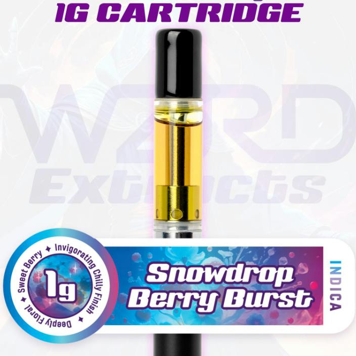 SNOWDROP BERRY BURST