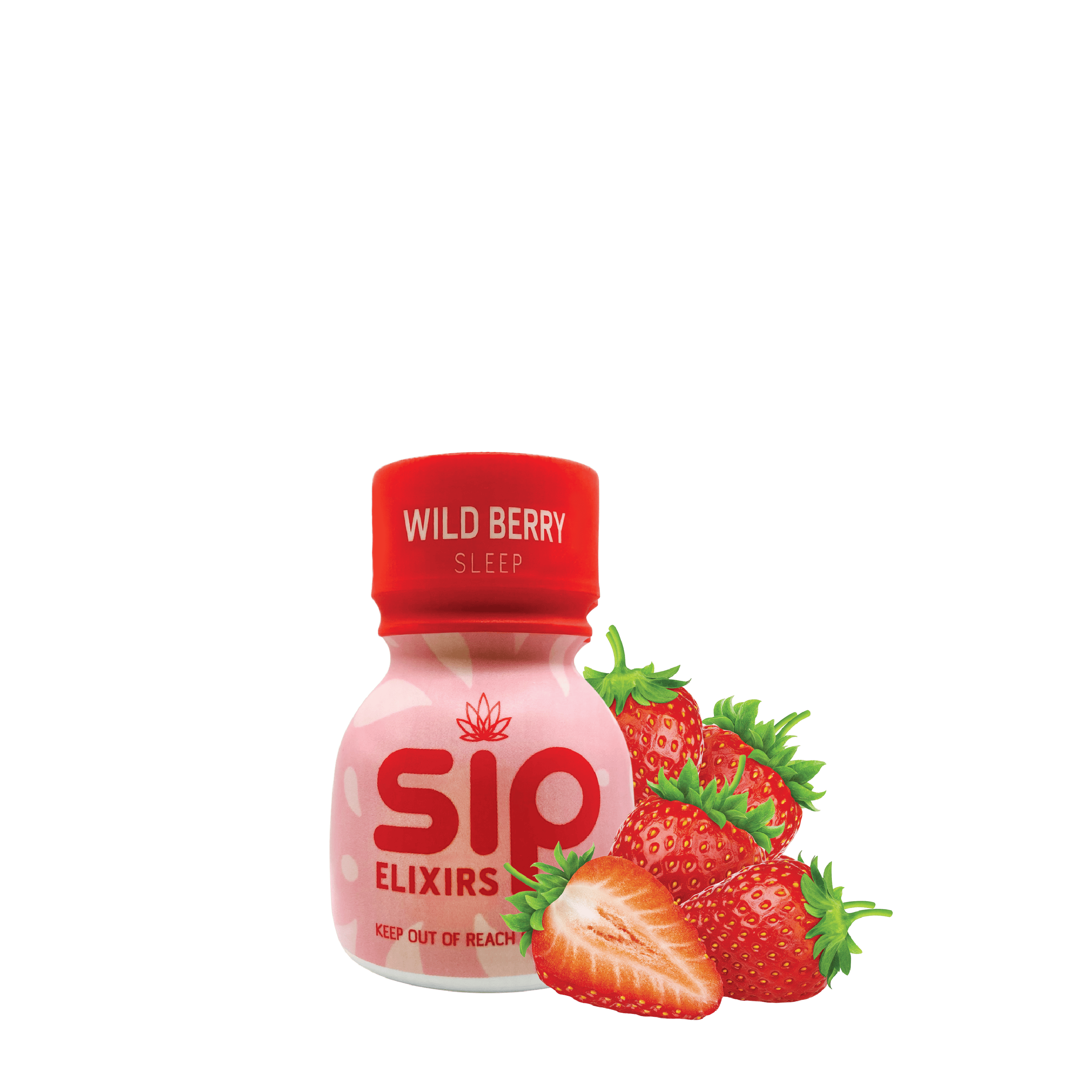 WILD BERRY