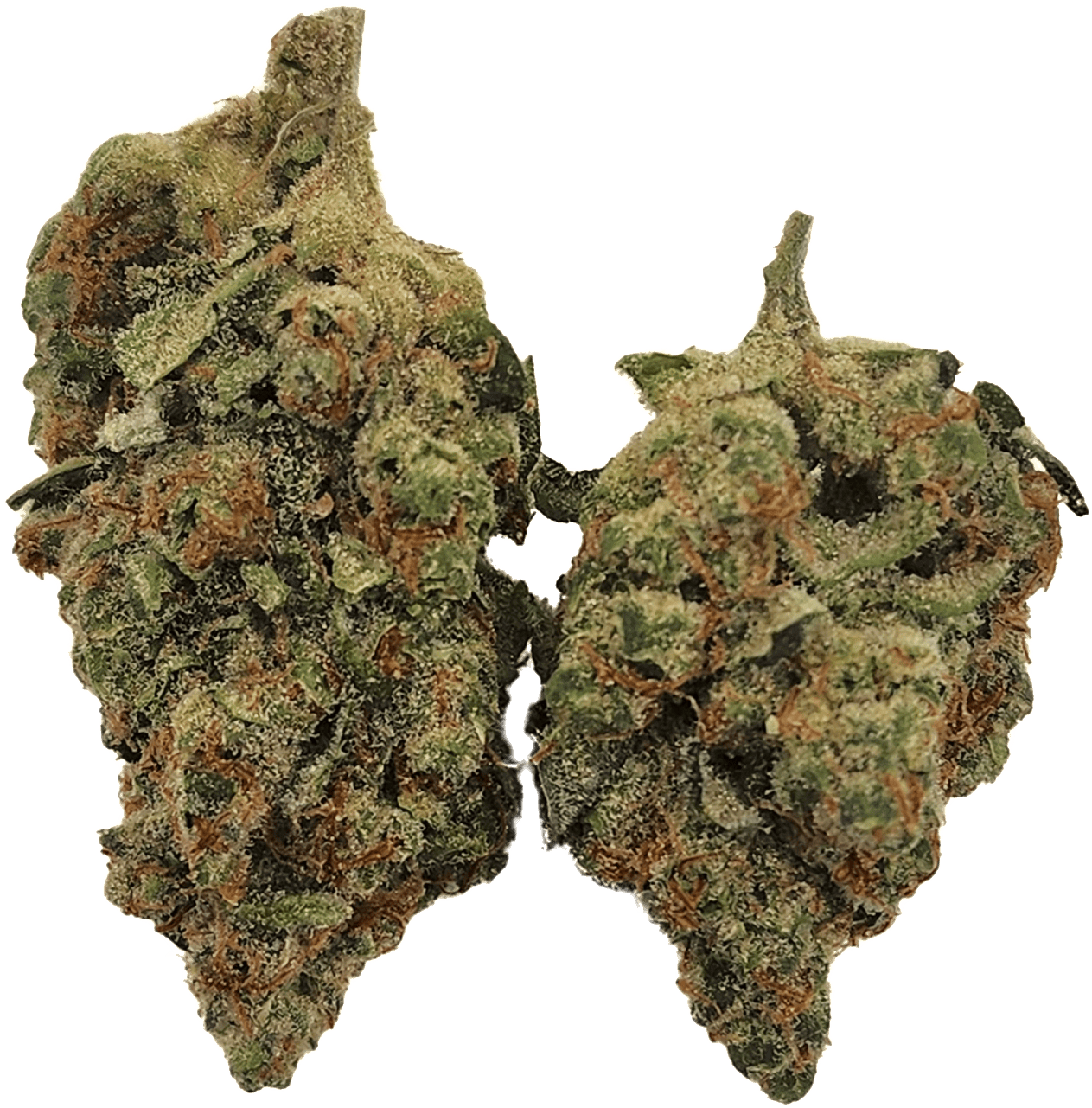 Haze Berry - 28 g