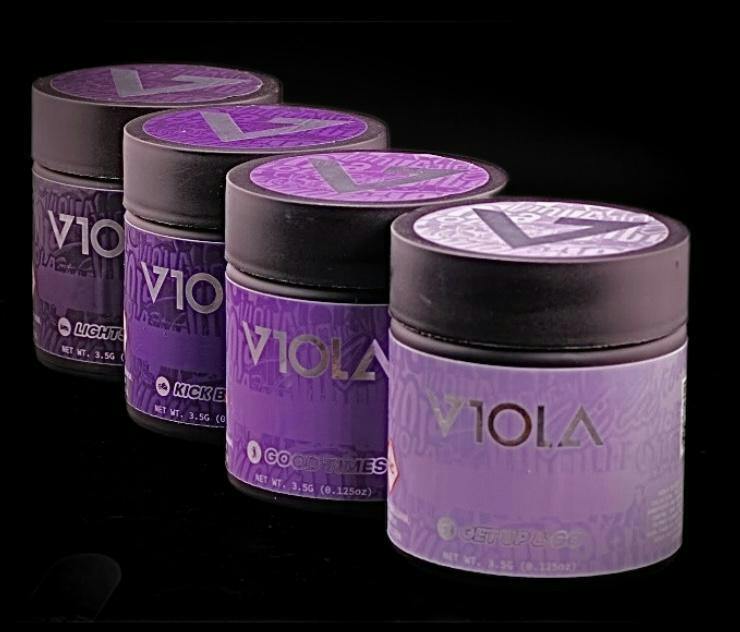 Lemon Cherry Gelato Viola
