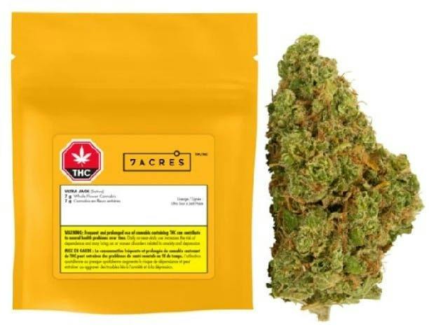 7Acres Ultra Jack 7G