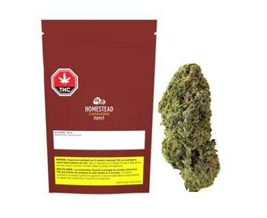 Bandwagon Sativa Rotational 7G