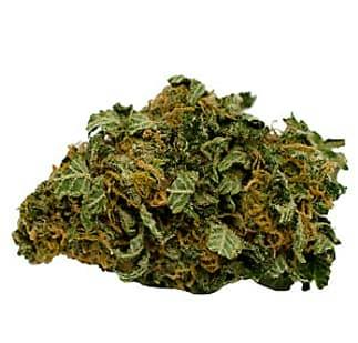 Jacky White 7G