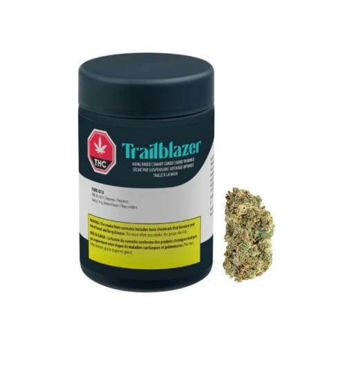 Fire G13 LTO 14G