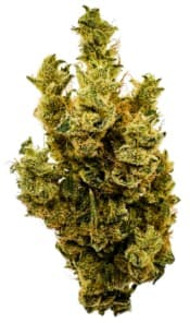 Banana Mango 3.5G