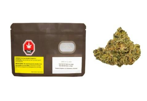 Waffle Cone Whole Flower 7G