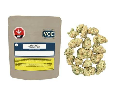 Roll-X Mini's 3.5G