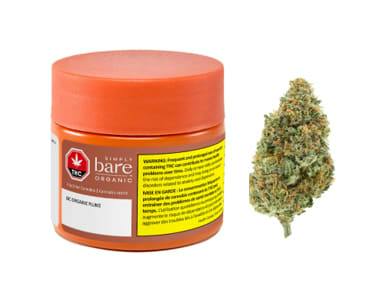 BC Organic Plumz LTO 3.5G