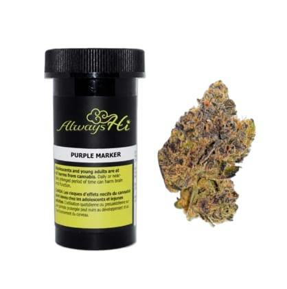Purple Marker 7G