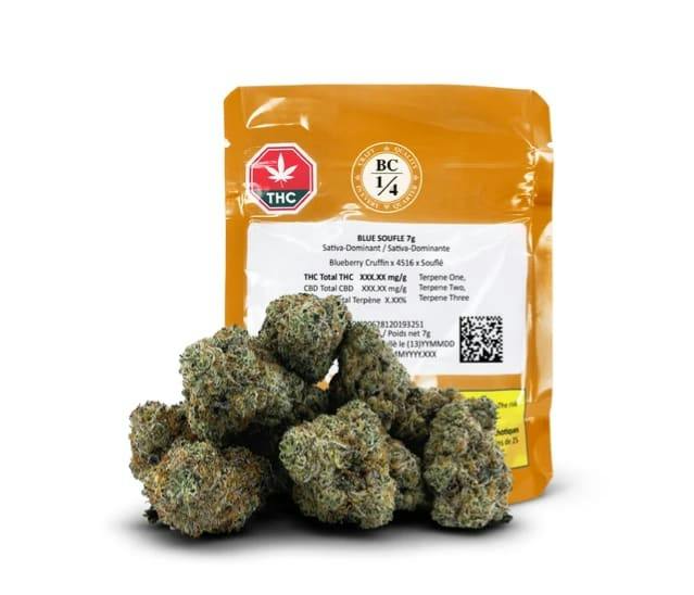 Blue Soufle 7G