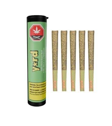Lawn Darts Super Boof 5 X 0.5G