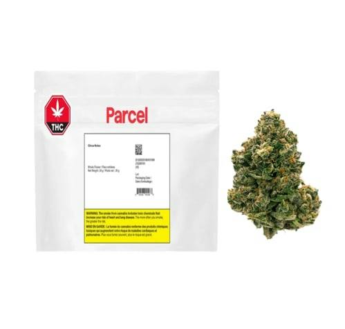 Citrus Notes 28G