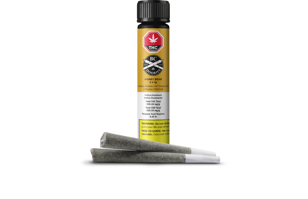 Honey Bear 2 X 1G